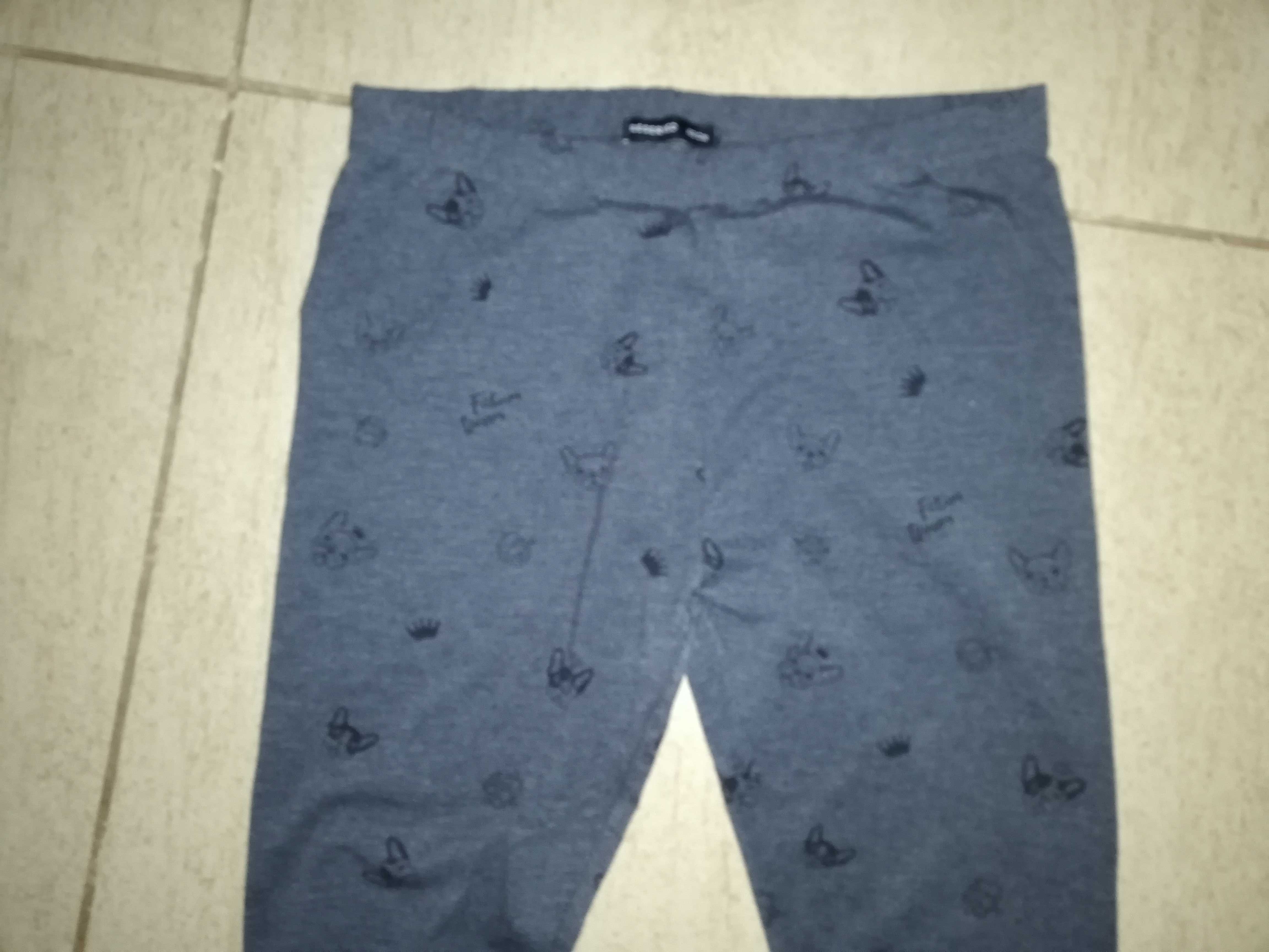 Spodnie legginsy Reserved rozm. 152 buldog francuski