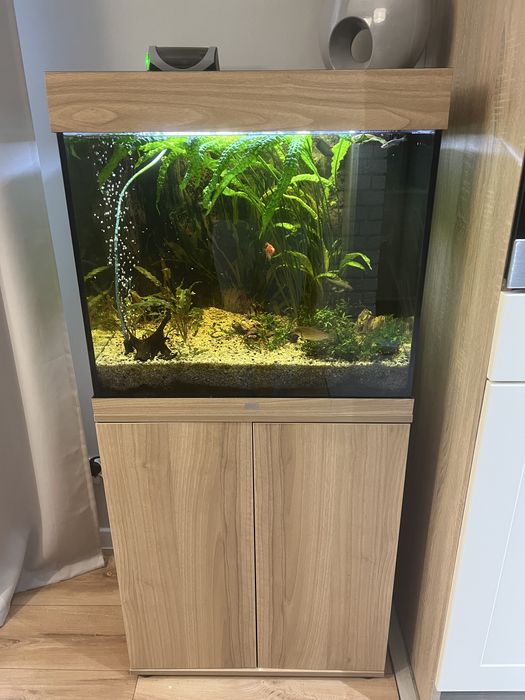 Juwel Lido 120 LED jasne drewno (dąb) akwarium z szafką