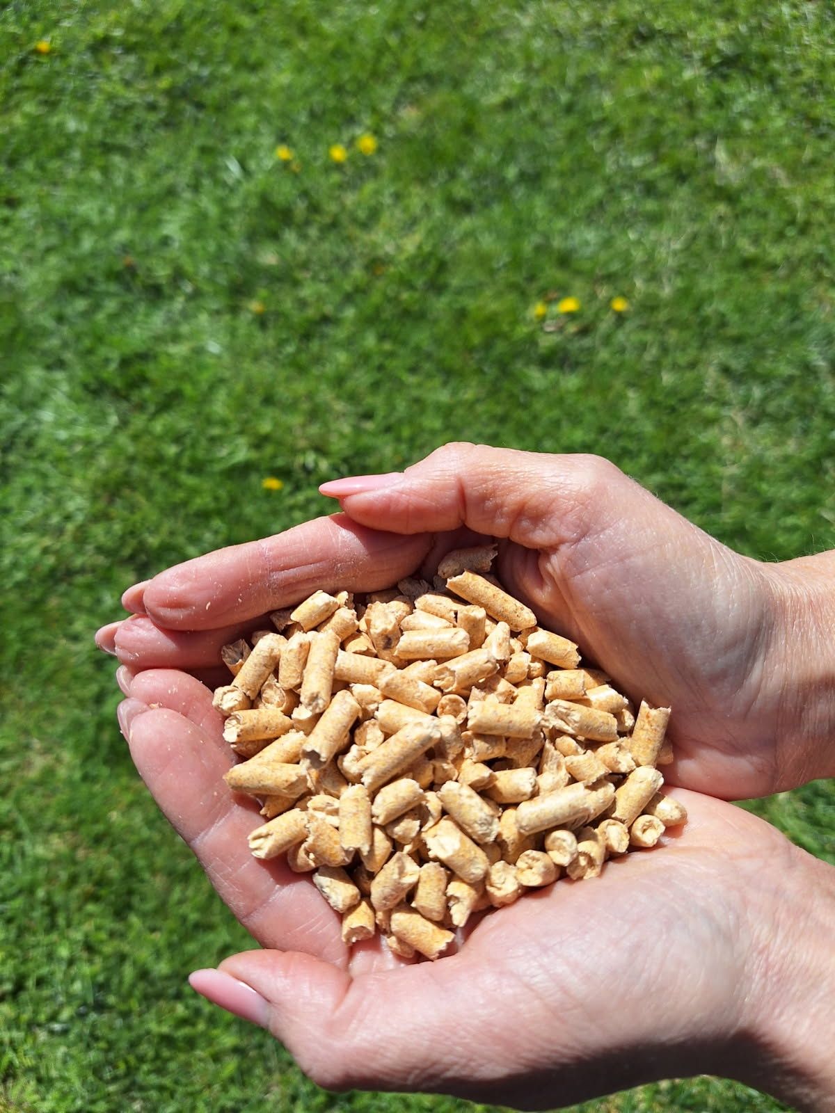Pellet Sosnowy Premium ,