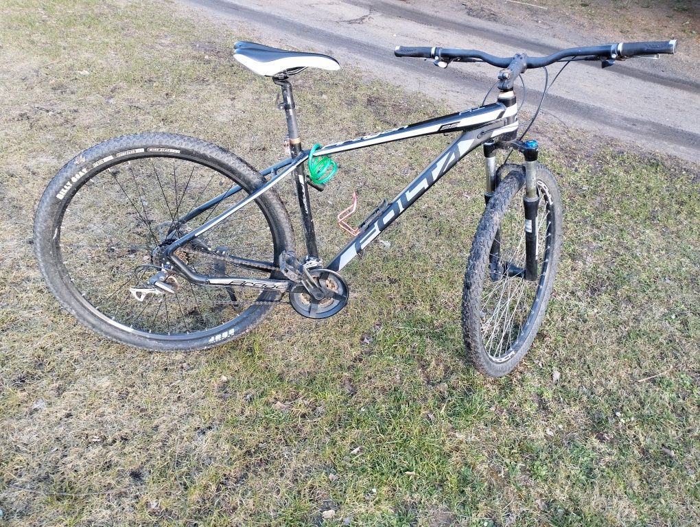 Rower męski folta
