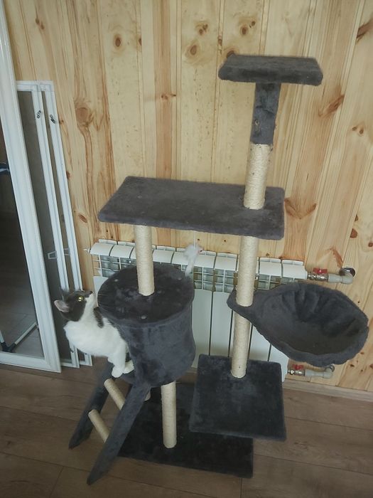 Когтеточка, домик для кота