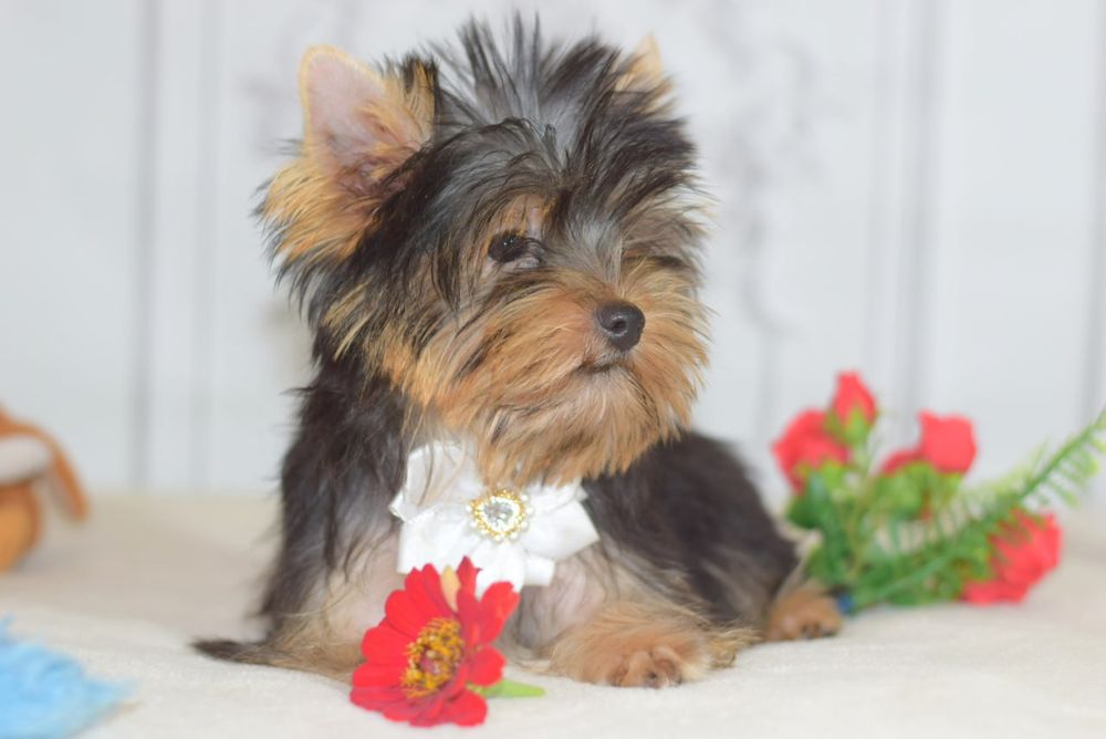 Хлопчик красотунчик