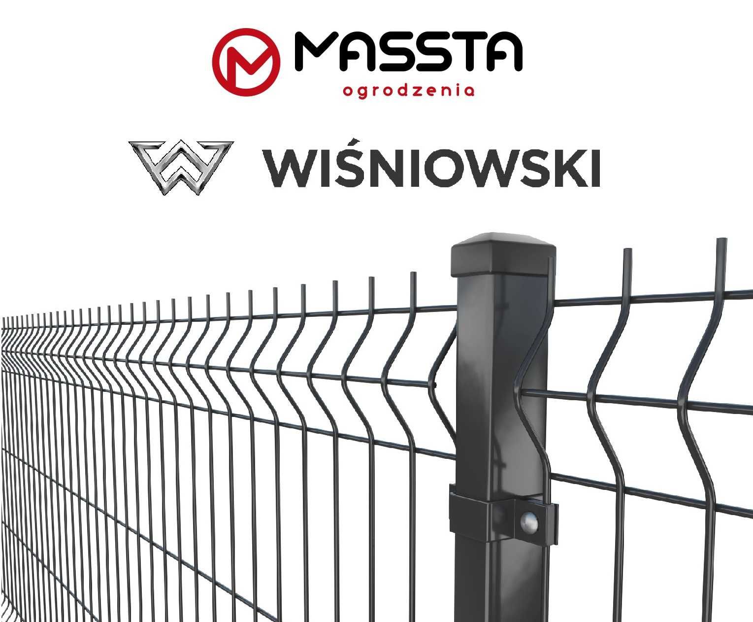 Panel ogrodzeniowy 3D - WIŚNIOWSKI - 1230x2500 mm - 4 mm - MASSTA