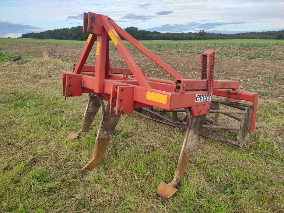 Głębosz EVERS Sumba