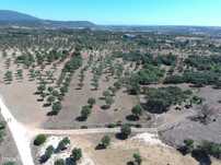 Terreno  para venda