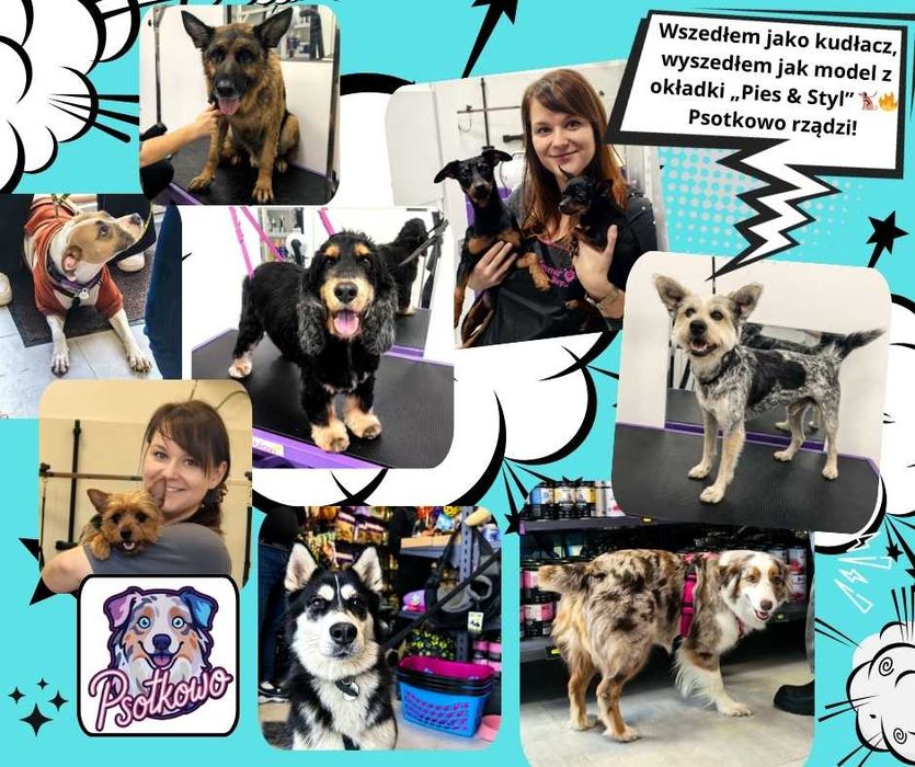 Psotkowo groomer, psi fryzjer i sklep zoologiczny Krupia Wólka