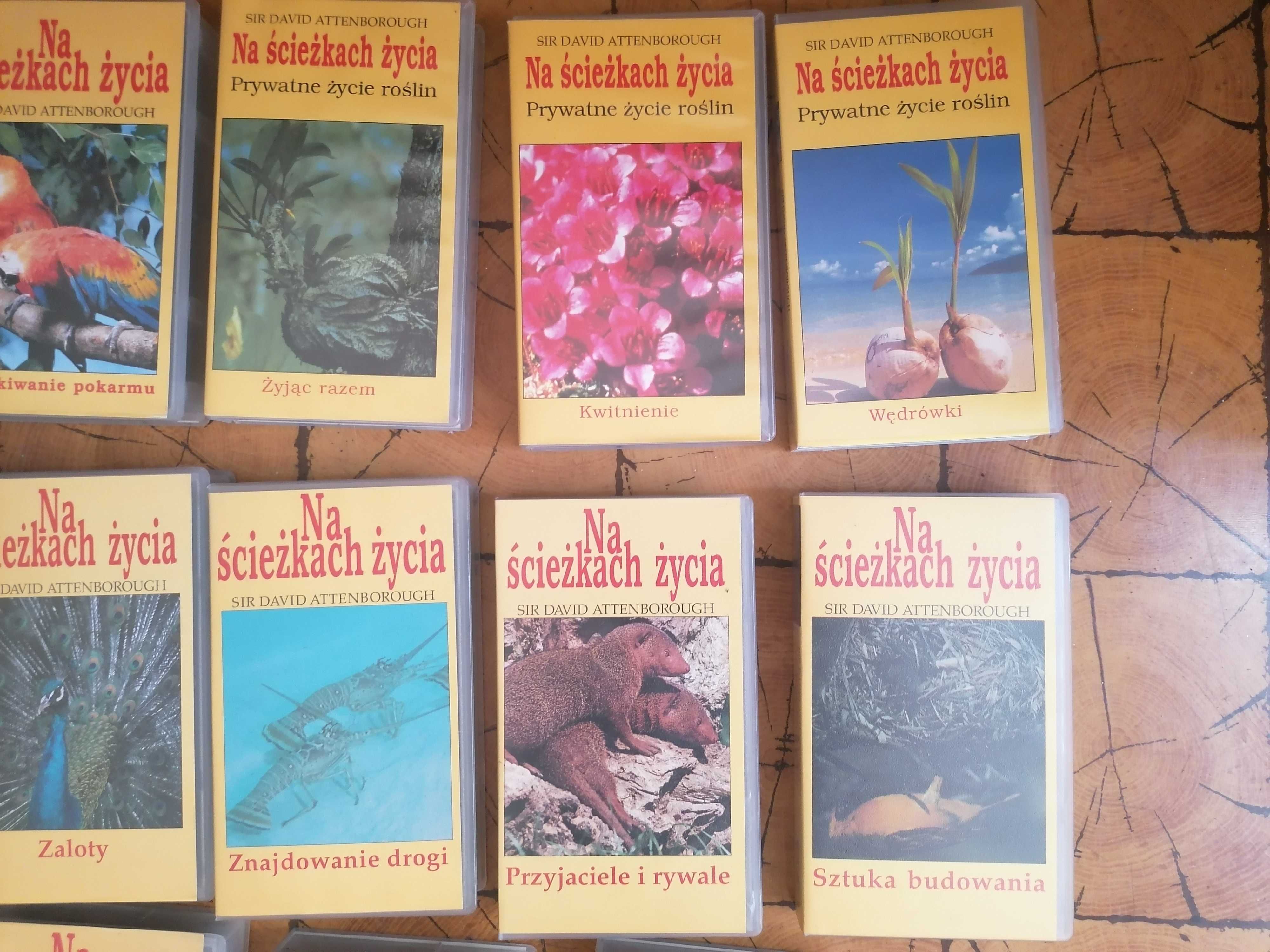 Kasety VHS "Na ścieżkach życia" przedstawia David Attenborough BBC