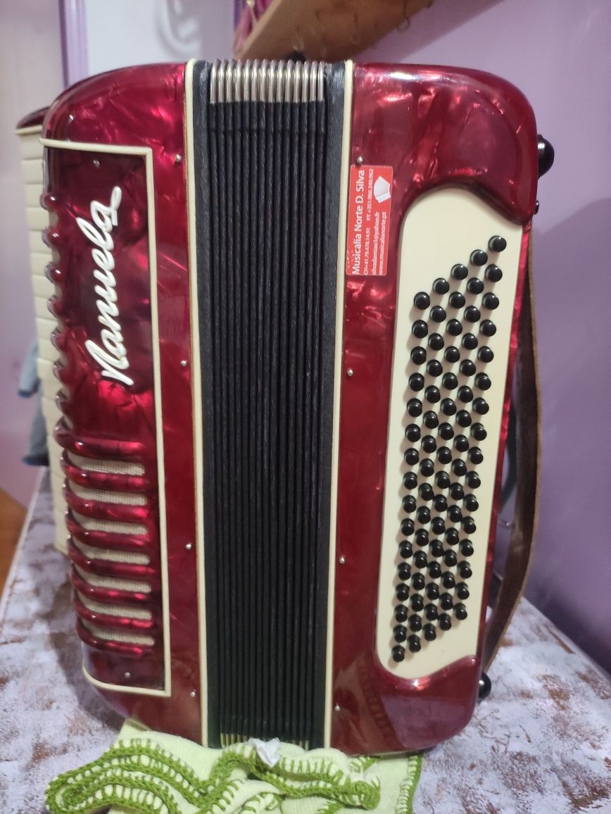 Acordeon bom preço.