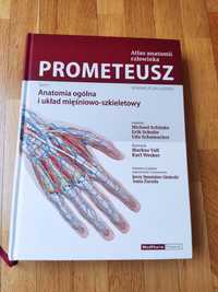 Prometeusz atlas anatomi człowieka anatomia ogólna i układ mięśniowo s