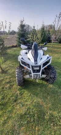 Can am renegade 800R/800