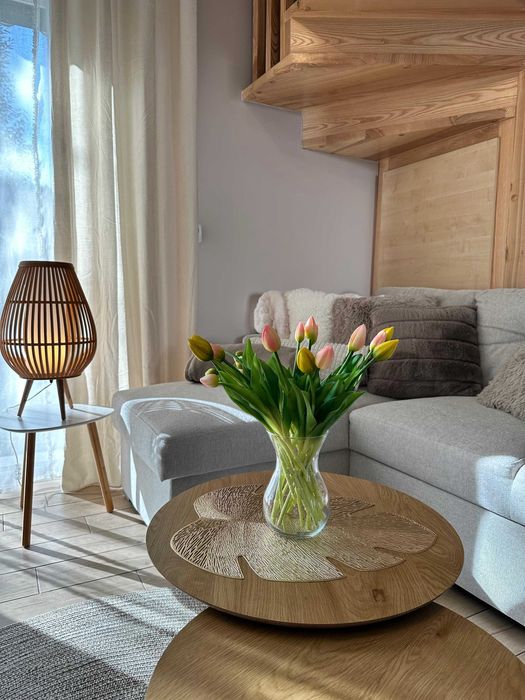 Domki Brenna 8 i 12 osobowe