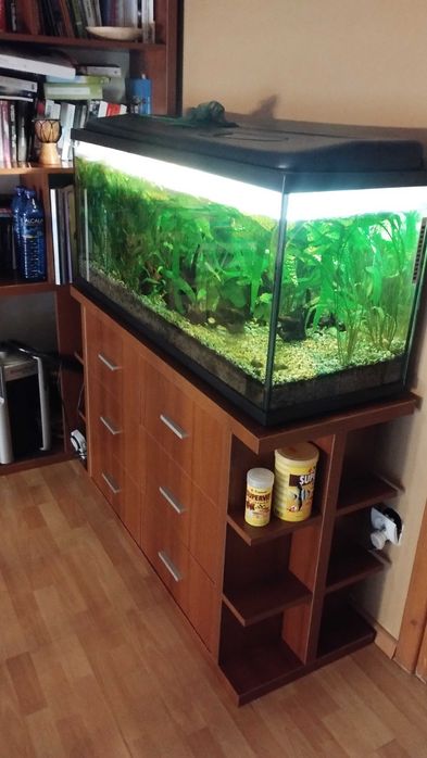Akwarium z szafką i całym wyposażeniem