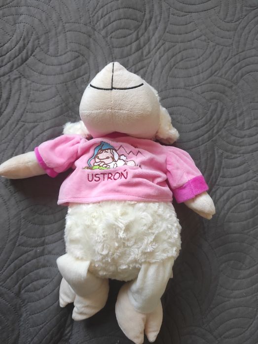 Beczaca owca ustron