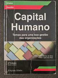 Capital Humano, temas para uma boa gestão  das Organizações
