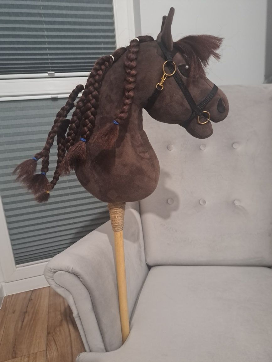 Hobby horse i sprzęt