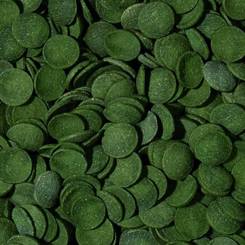 Tropical Green Algae Wafers-pokarm dla Glonojadów-uzupełnienie 100g