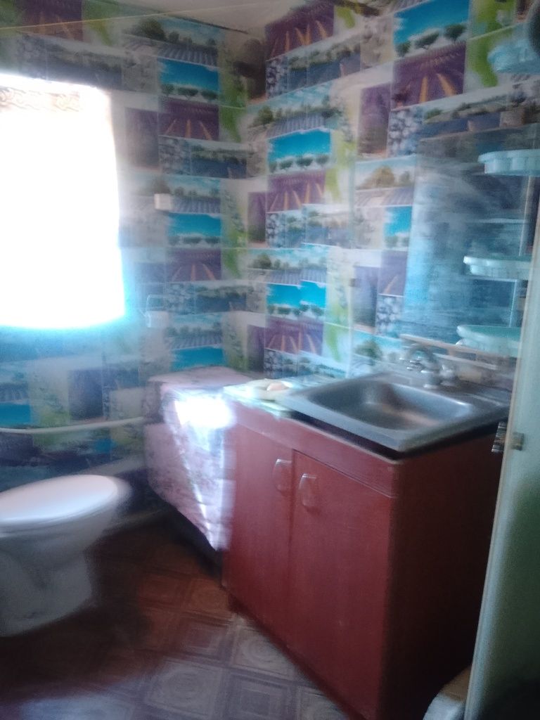 Дім газофіцирований з удобствами
