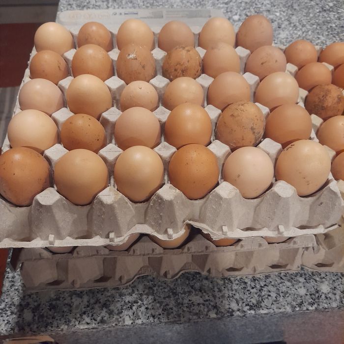 Ovos caseiros...