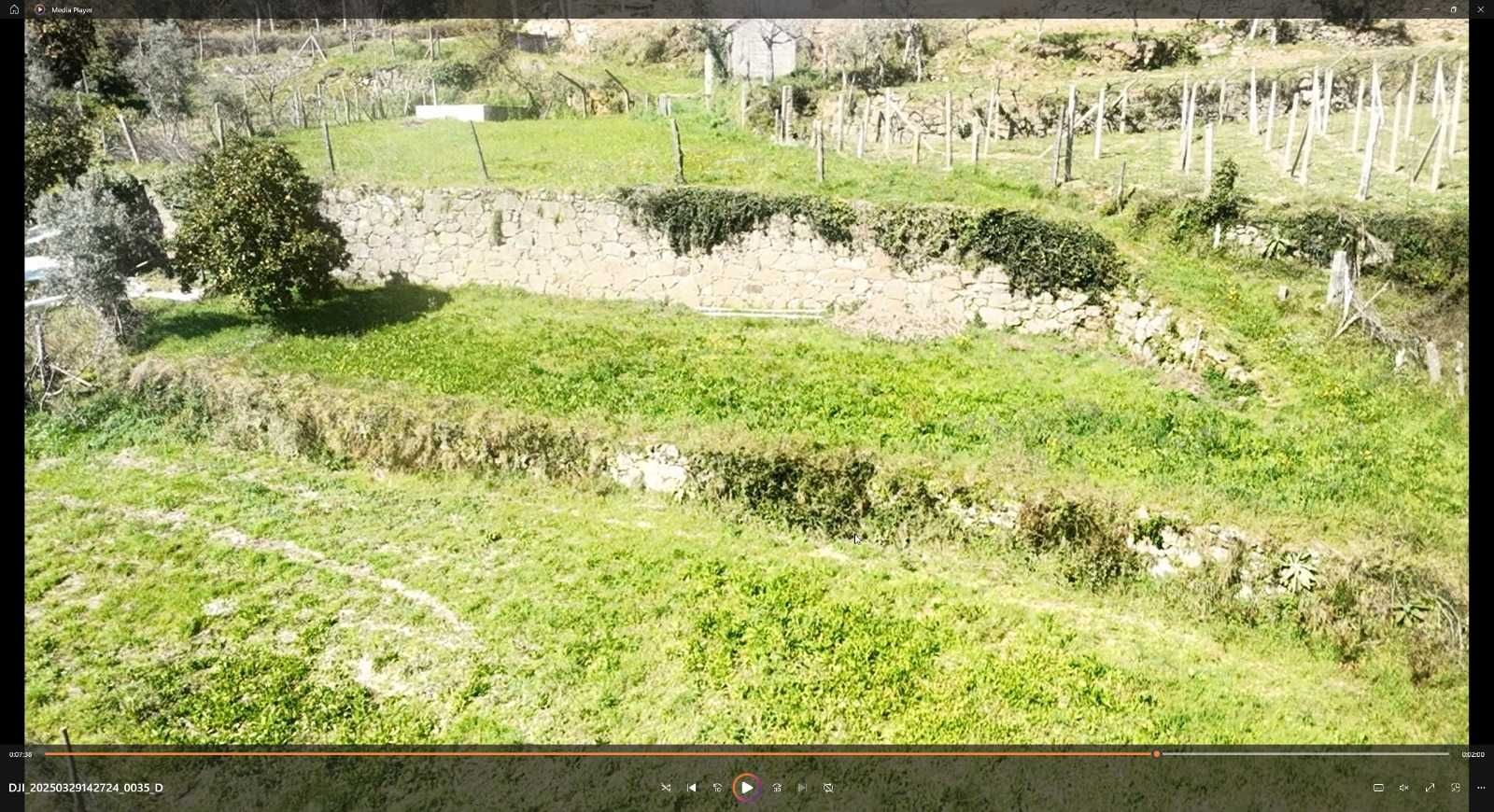 TERRENO COM PALHEIRO EM FORNELOS CINFÃES DO DOURO