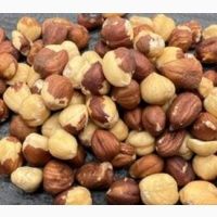 Продам горіхи 2025 року