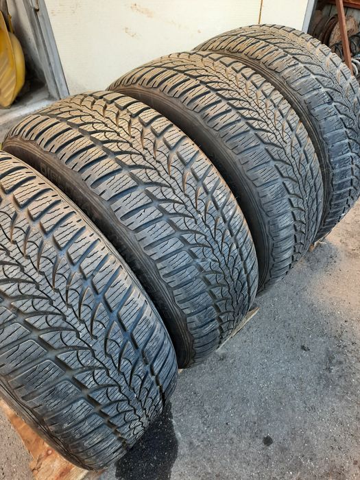 Зимові шини (зимняя резина) 205/55r16 Diplomat Winter HP