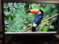 Монітор HP i271 — 27" | IPS | Full HD