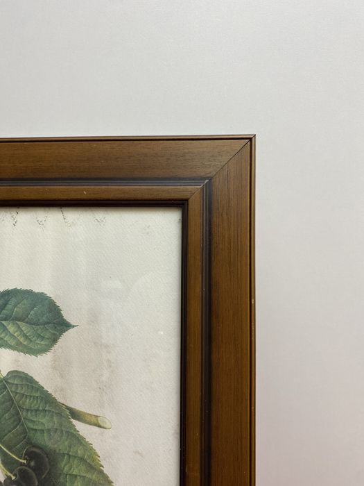 Moldura madrira maciça