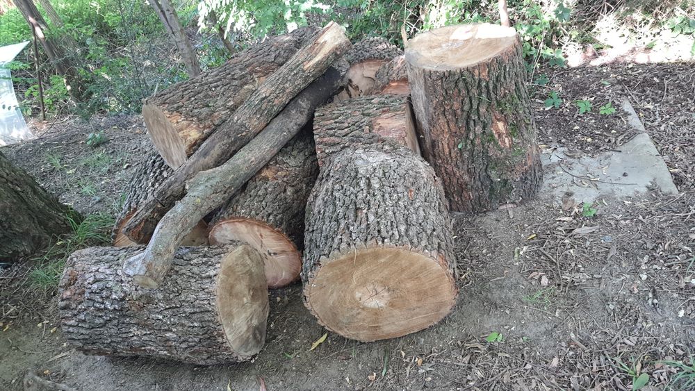 Olcha do wędzenia Buk 40kg odkorowane