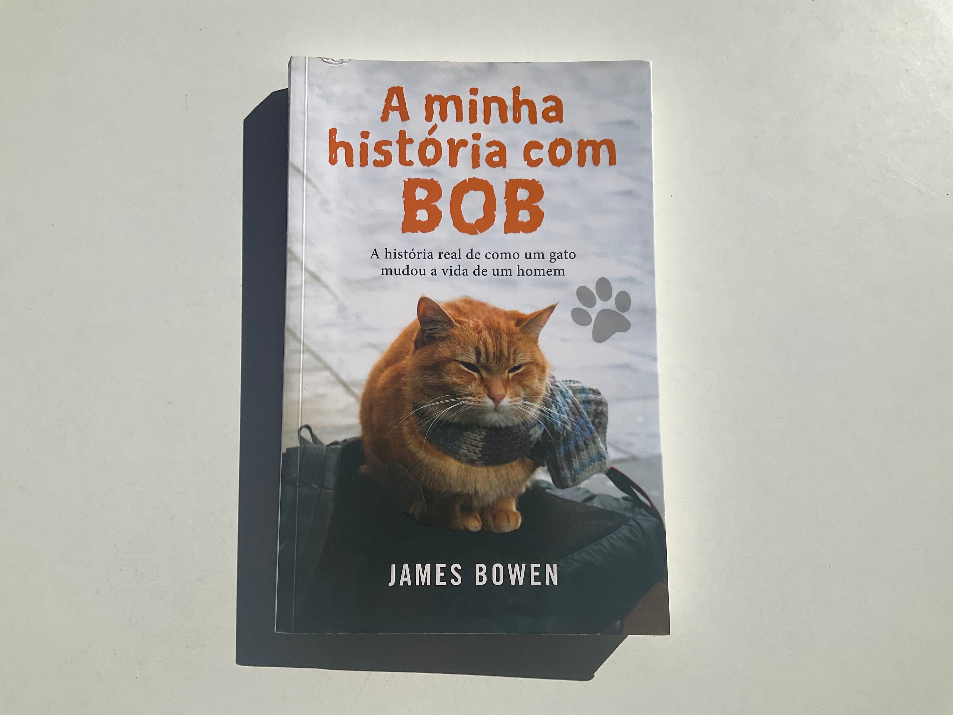 A minha história com BOB - James Bowen