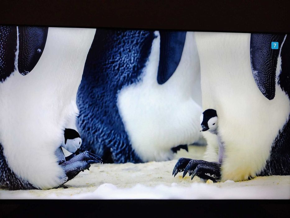 Hisense 55 polegadas 140cm 4K UltraHD SmartTV, caixa, comando original