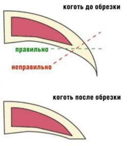 Когтерез Ножницы для когтей