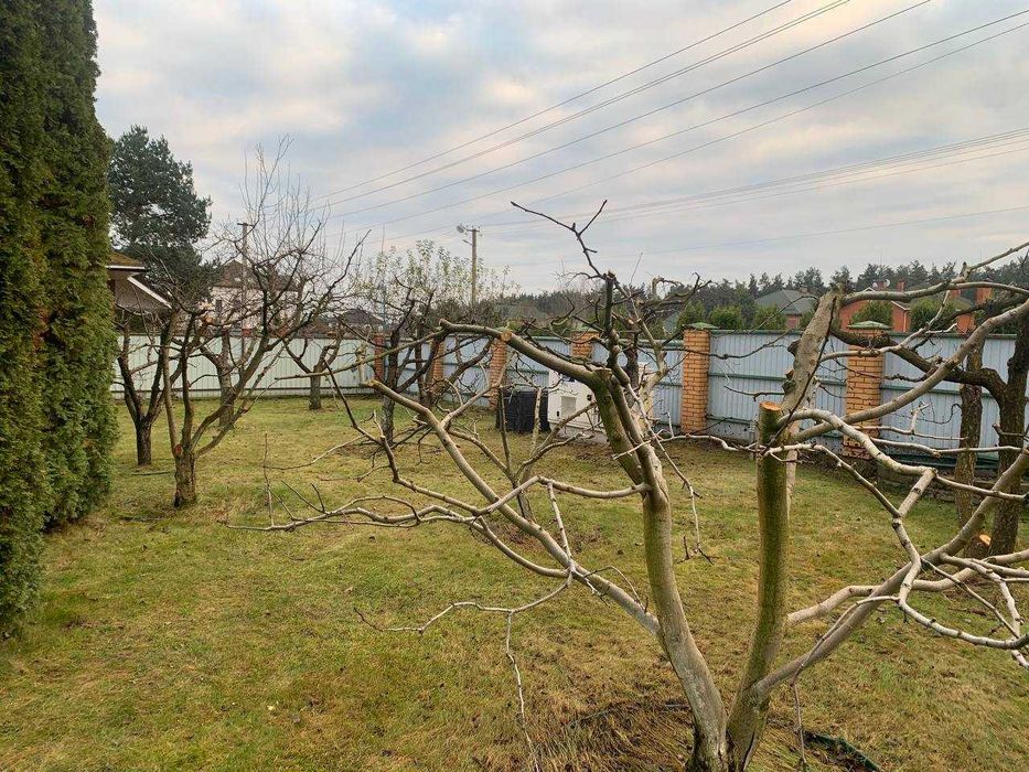 Послуги з обрізання саду та прибирання листя | Буча та район