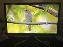 монітор Samsung BX2350 23 дюйми