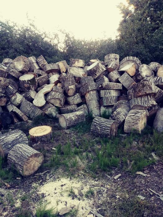 Sprzedam drewno opałowe