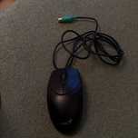 Мишка Genius NetScroll 120 (Optical 800 dpi USB black)