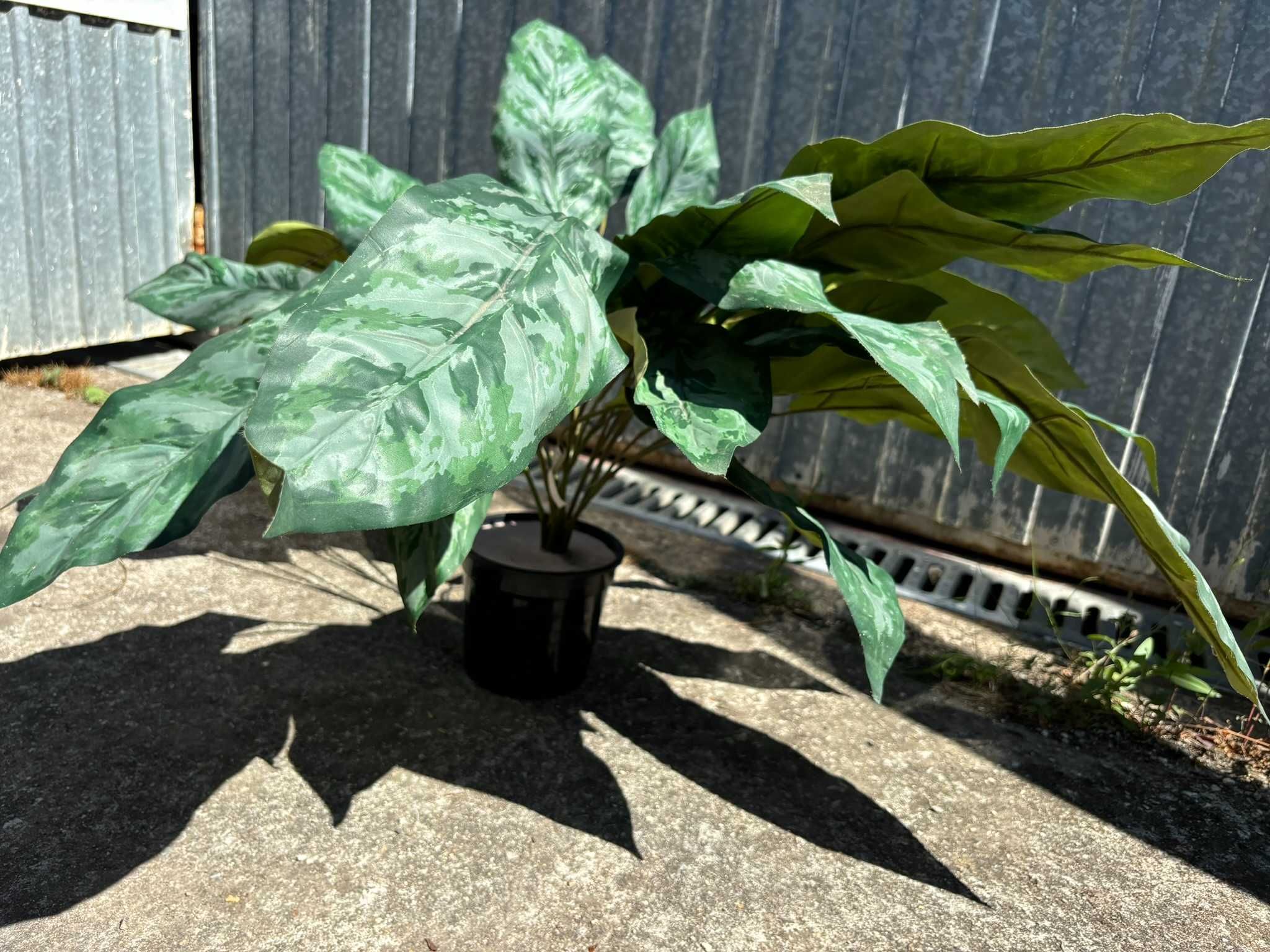 Planta de decoração para sua casa