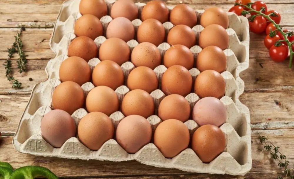 Продаються домашні свіжі курячі яйця. 60грн 10 штук