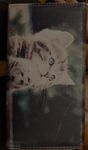Carteira de Gato
