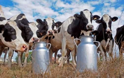 Продам  Або Обміняю Діюче Агропідприємство