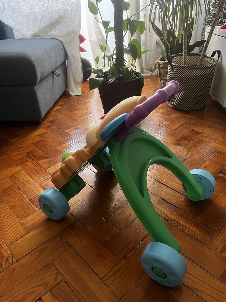 Primeiros Passos/Andarilho Bebe