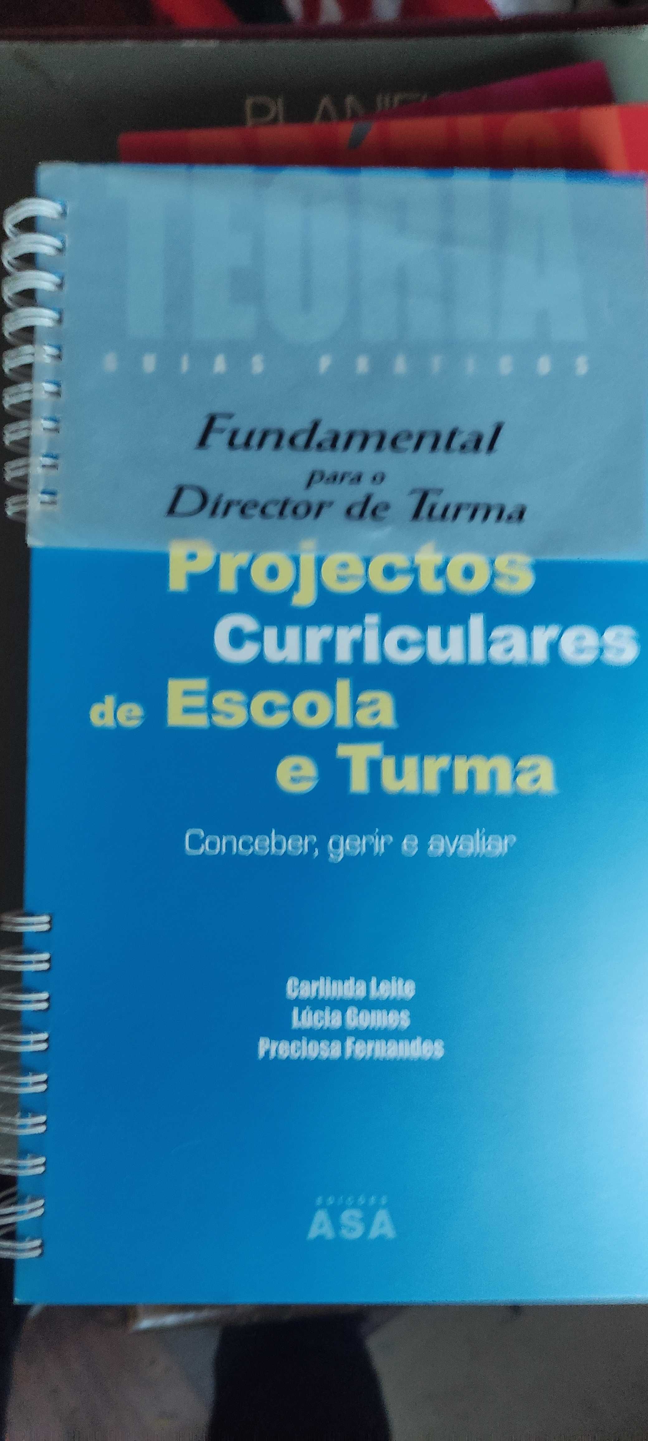 Projetos Curriculares de Escola e de Turma
