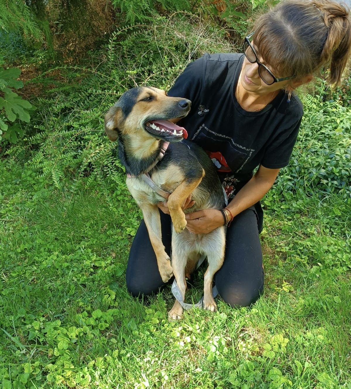 LINA - 11 mięs. bardzo kochana sunia