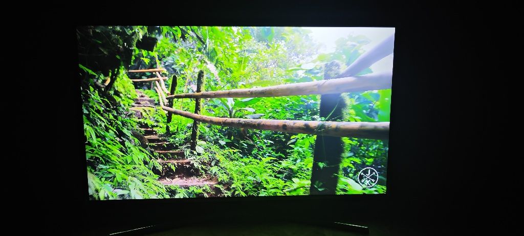 Telewizor LED 49 cali Samsung 4K HDR Smart