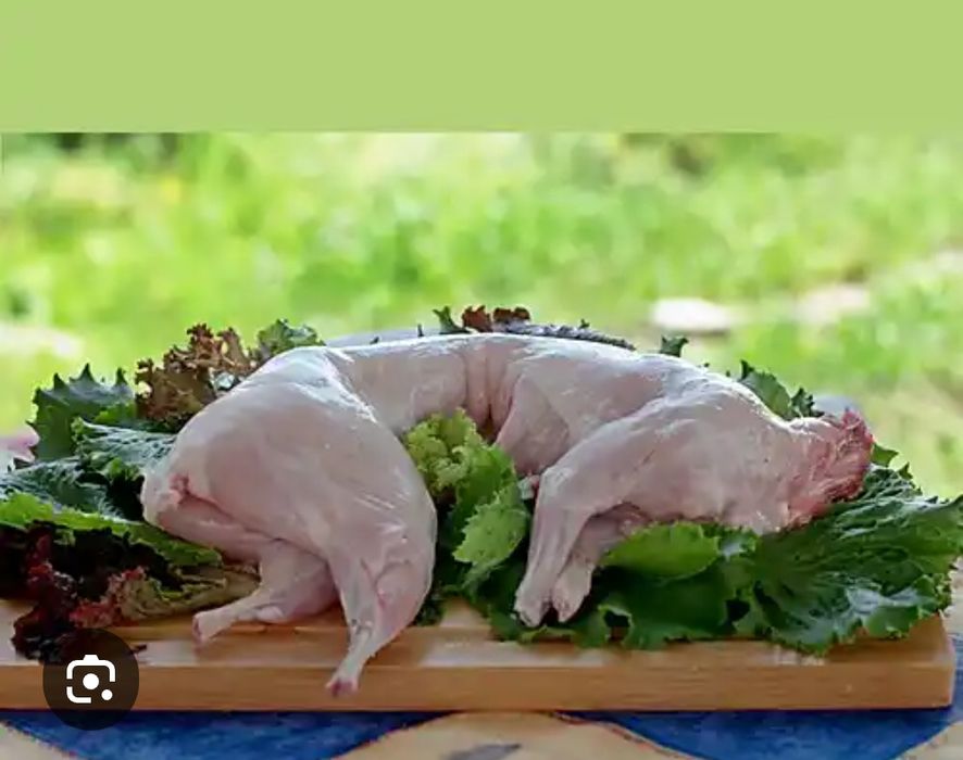 Тушка кролика крольчатина