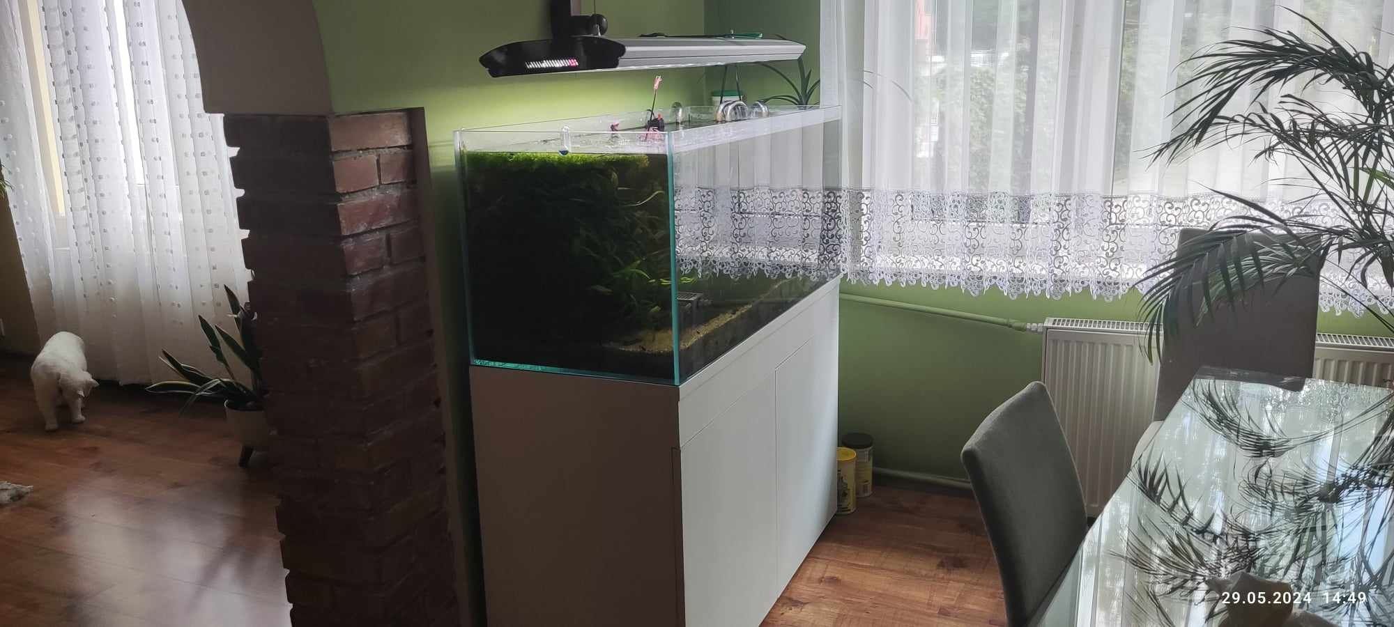 Akwarium z szafką 300L optiwhite