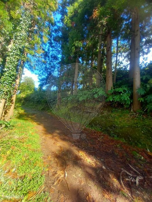 Terreno  para venda