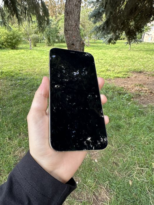 iPhone 12 Pro Max 256Gb Gold Icloud Lock