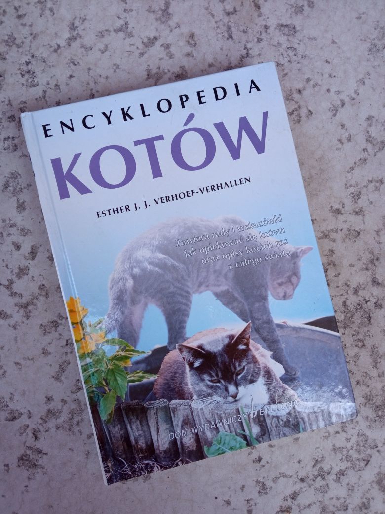 Encyklopedia kotów