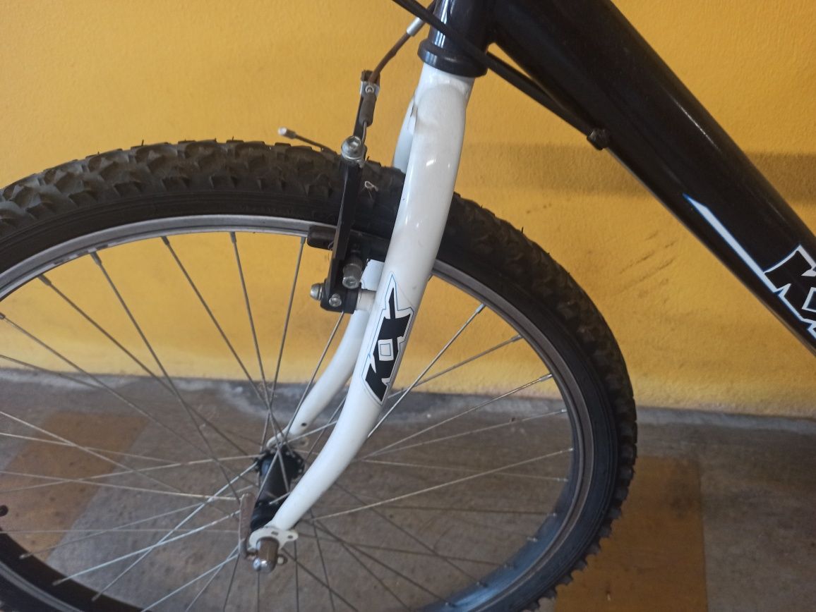 Bicicleta de montanha