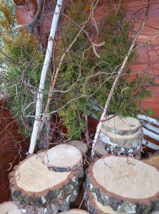 Bukiety gałązki wierzby tuji brzozy